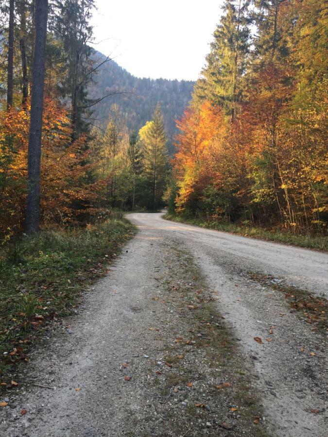 Tirol Juwel *