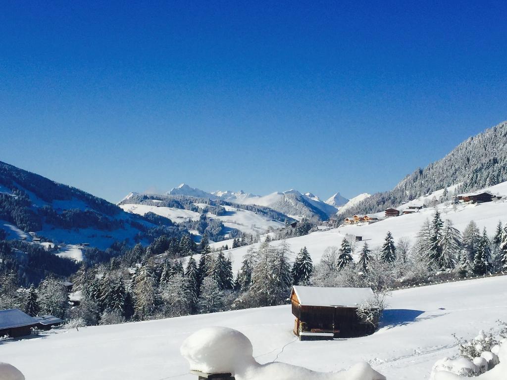 Tirol Juwel Appartement Alpbach