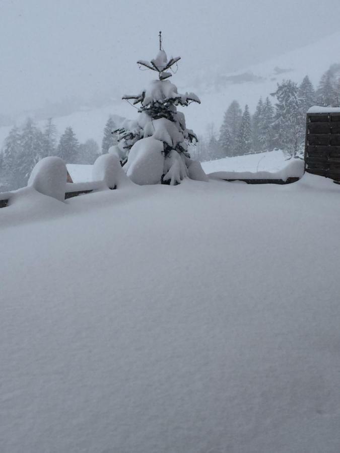 Tirol Juwel *